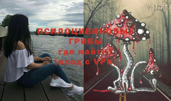 метамфетамин Алексин