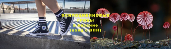 2c-b Алзамай