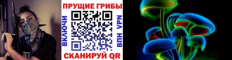 где купить наркотик  Славск  Галлюциногенные грибы Psilocybe 