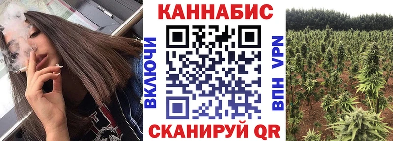 Марихуана сатива Славск